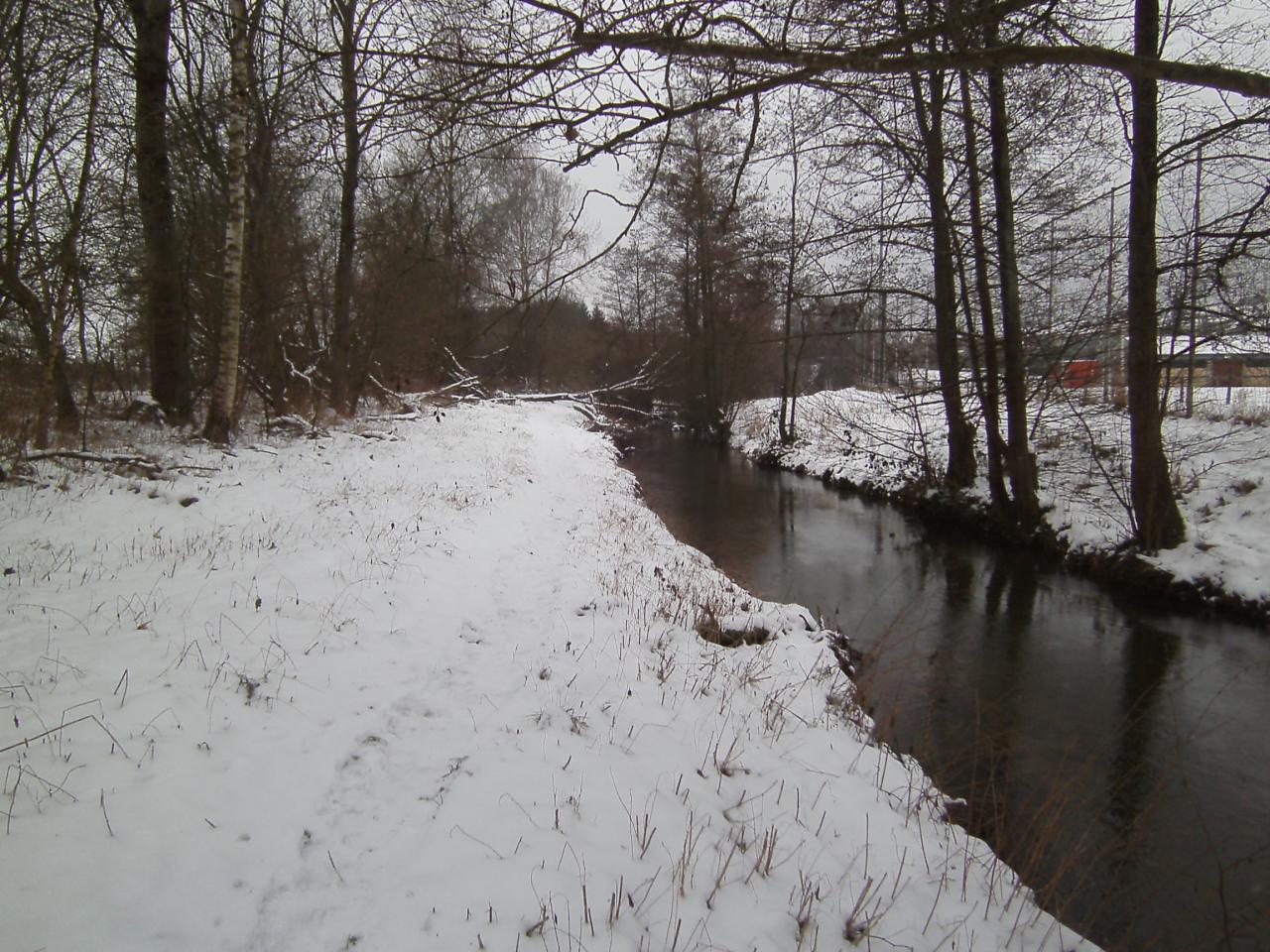 la rivière donne le Ton
