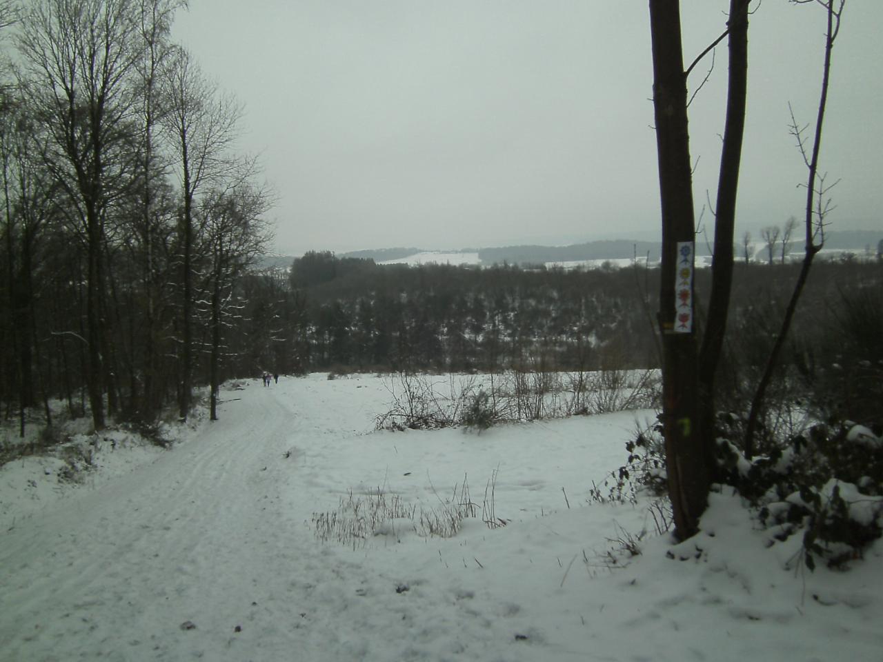 la grisaille qui gâche le paysage