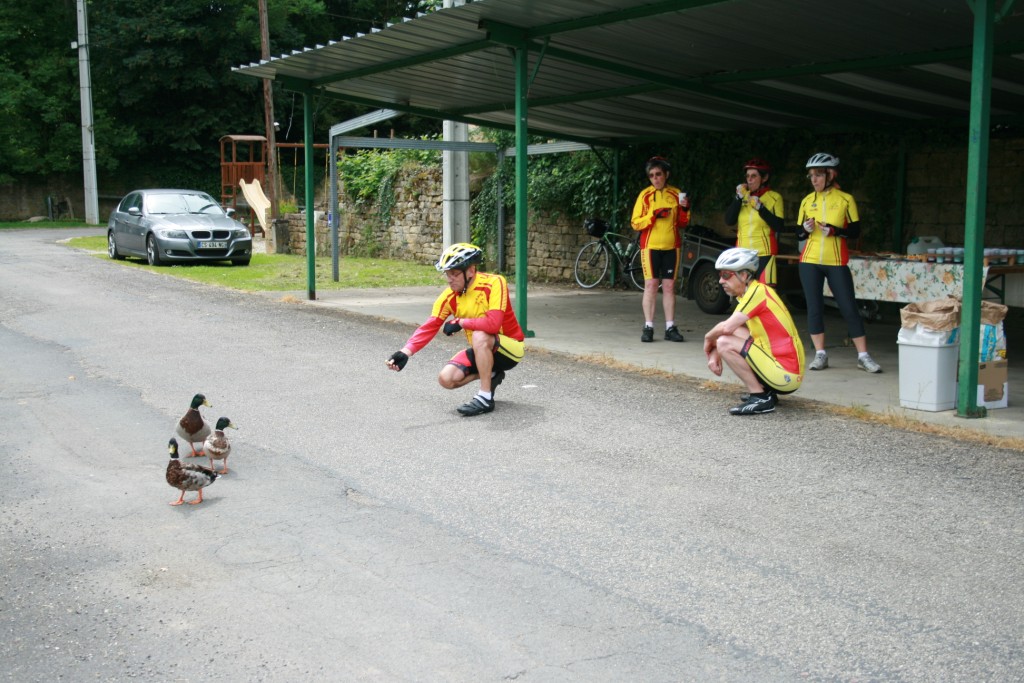 ce sont 3 mâles (les canards) et le magret ne doit pas être terrible